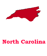 face painters in North Carolina