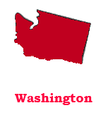 face painters in Washington